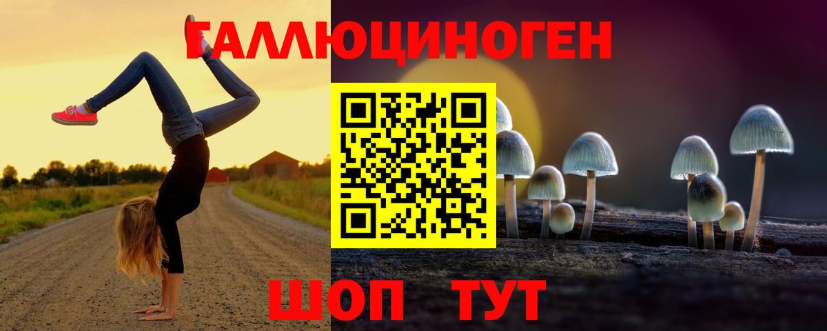 Псилоцибиновые грибы Psilocybine cubensis Евпатория