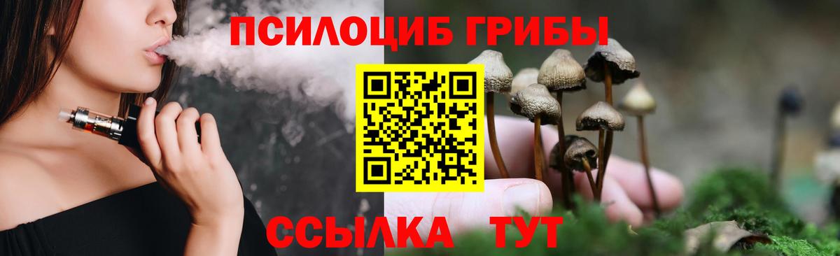 Галлюциногенные грибы Psilocybine cubensis  Псилоцибиновые грибы Psilocybe  Вход с VPN  Евпатория 